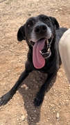CLEO Imagen 6